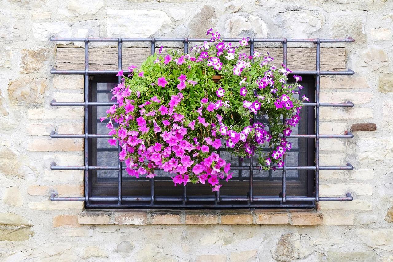 Casale Le Orme Bed & Breakfast Todi Exterior photo