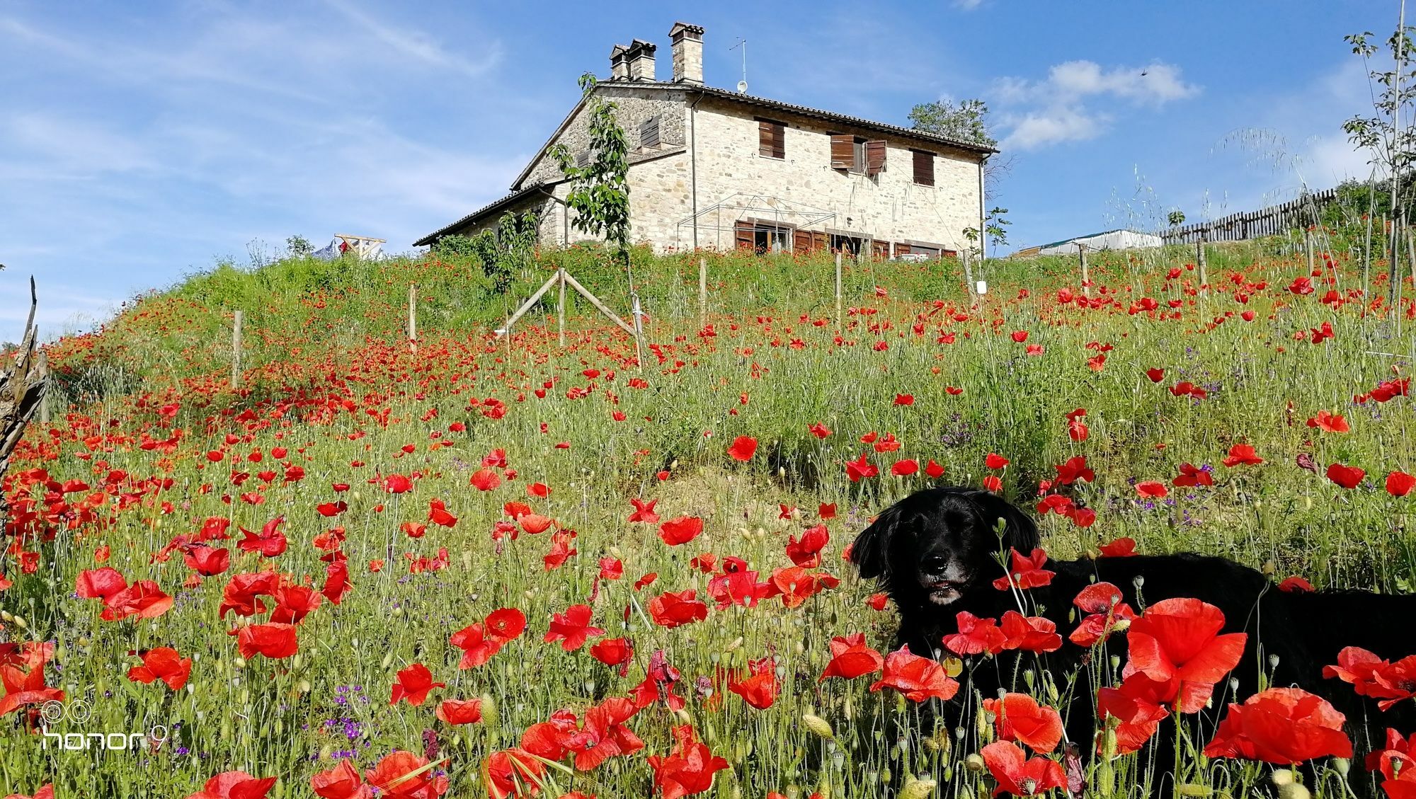 Casale Le Orme Bed & Breakfast Todi Exterior photo